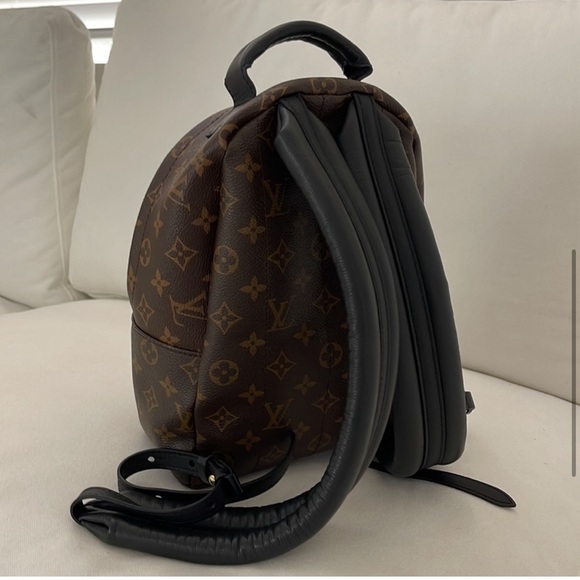 Louis Vuitton Palm Springs Backpack PM - Picture 4 of 16